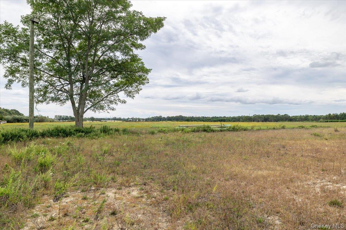 1535 Middle Road Calverton, NY 11933 - Photo 6 of 14 a view of a lake from a yard