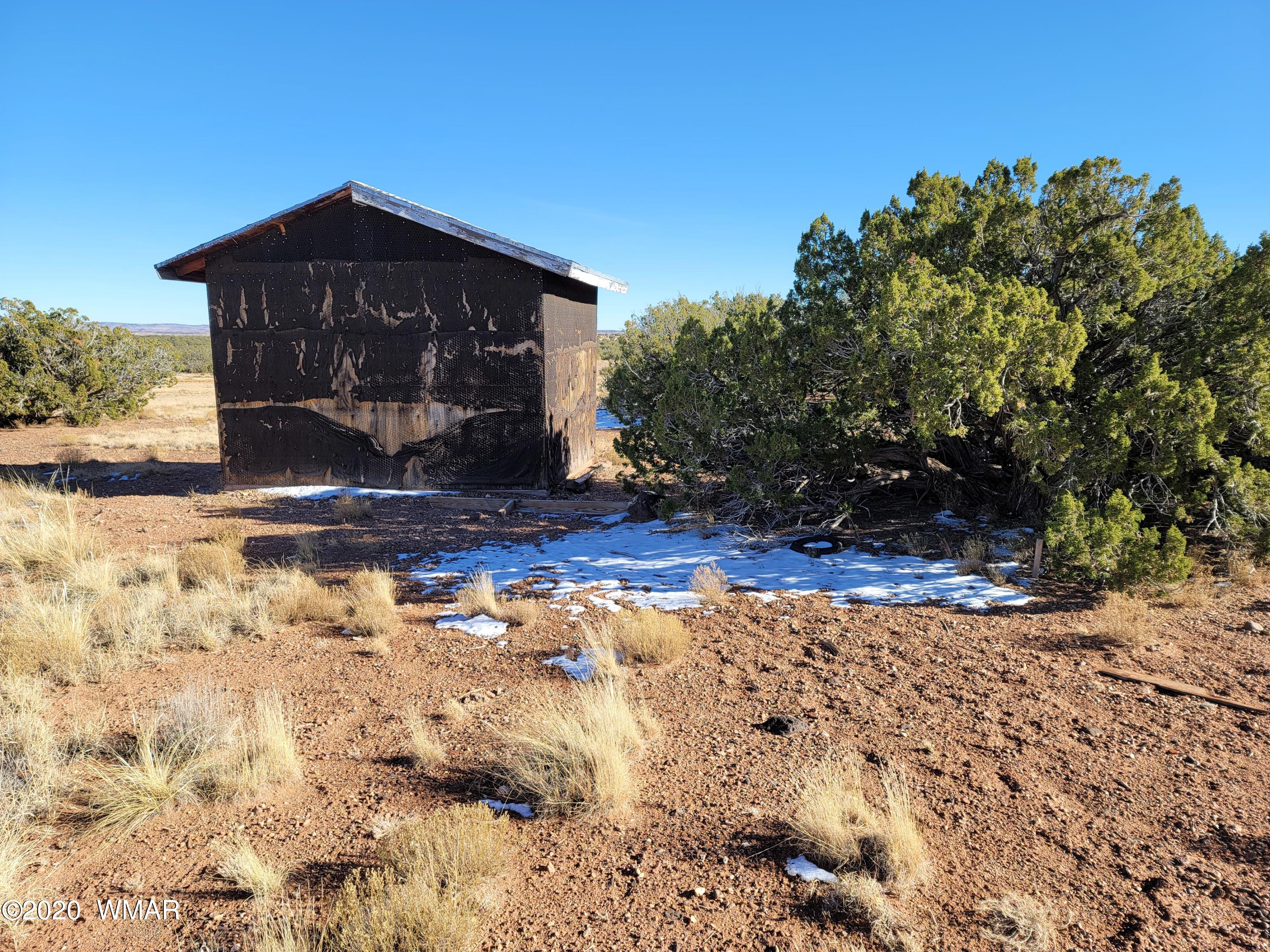 51 County Road Concho, AZ 85924 - Photo 12 of 14