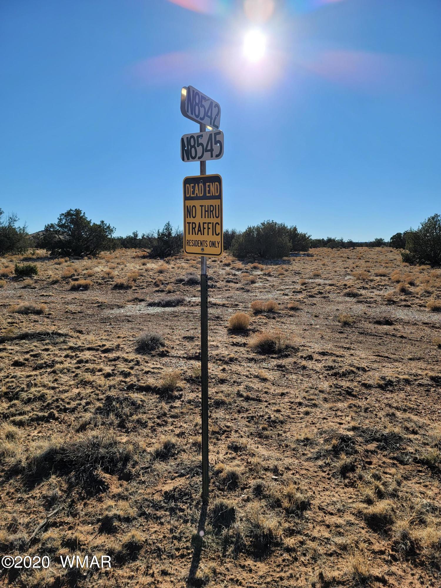 51 County Road Concho, AZ 85924 - Photo 14 of 14