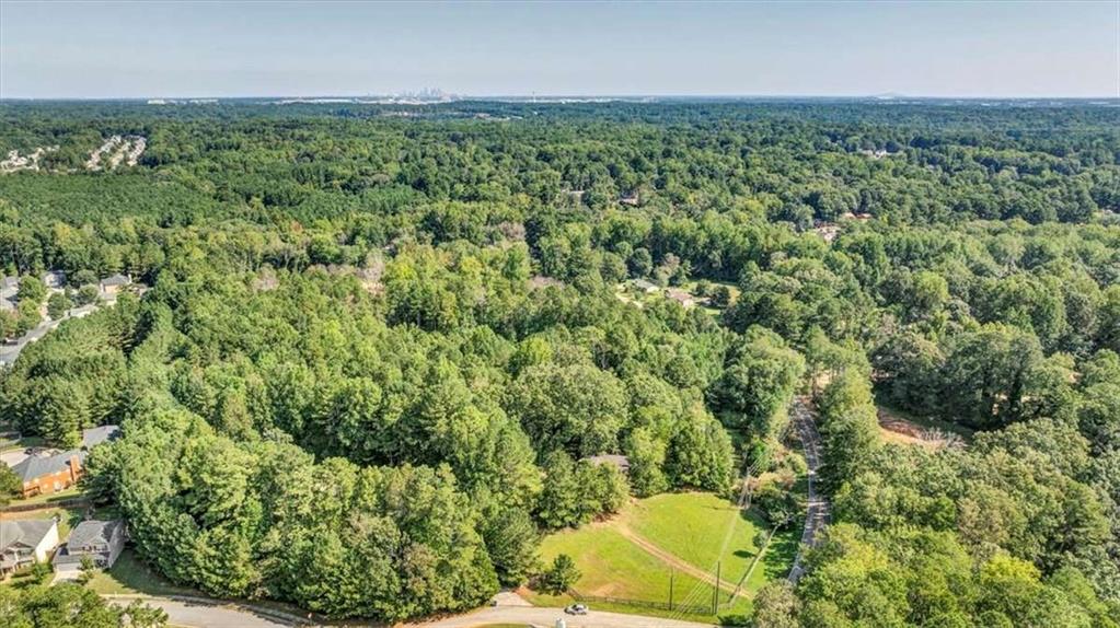 6765 Dagenhart Road Atlanta, GA 30349 - Photo 4 of 27 a view of a big yard with large trees