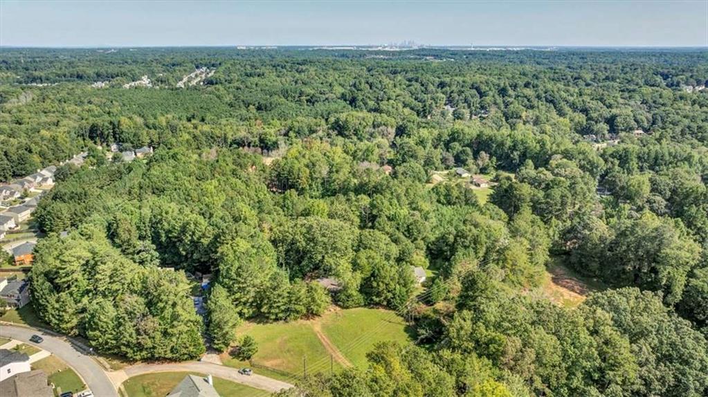 6765 Dagenhart Road Atlanta, GA 30349 - Photo 8 of 27 a view of a bunch of trees and bushes