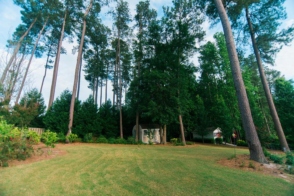 175 Adamsville Spring Road North Augusta, SC 29860 - Photo 27 of 28