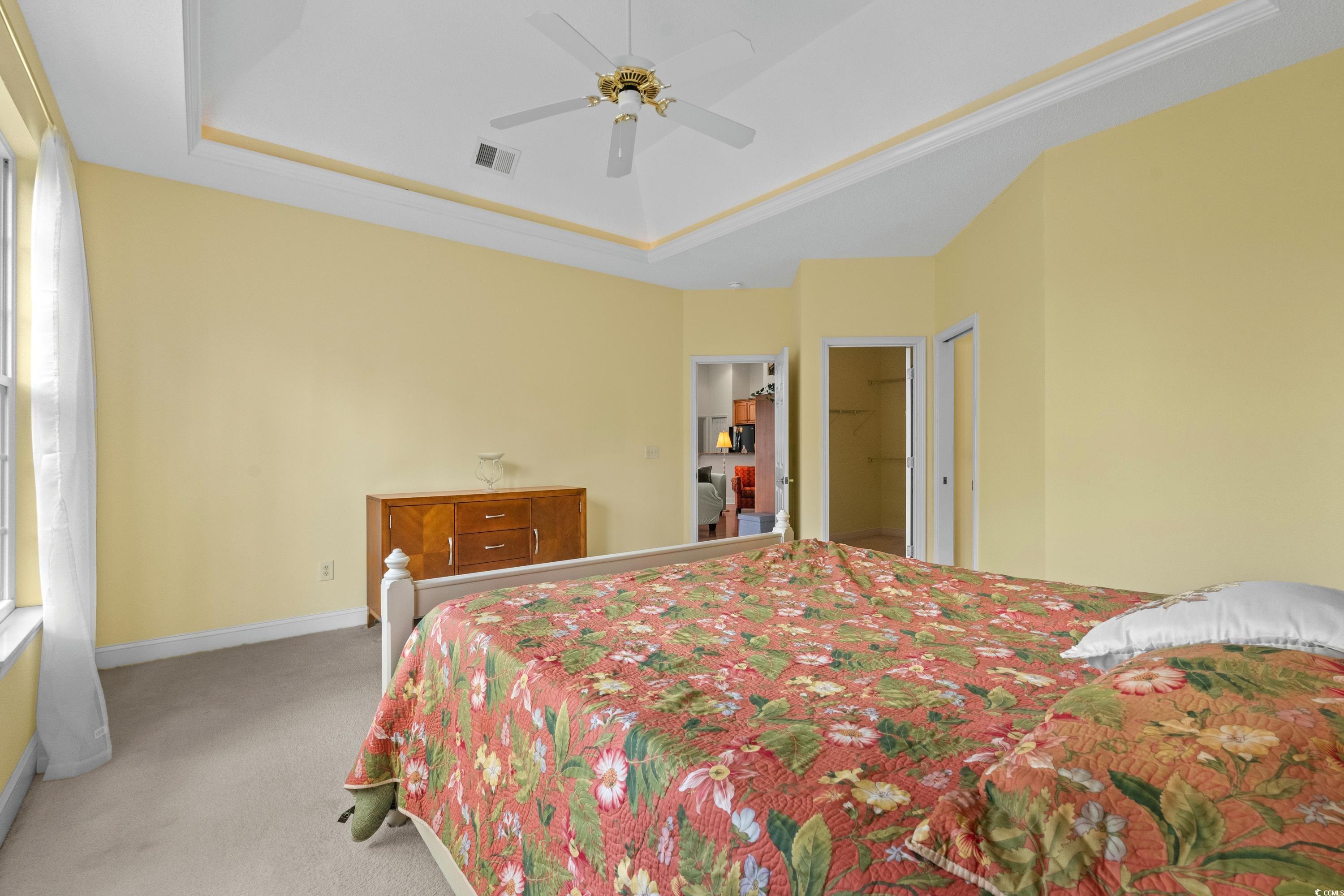 5025 Westwind Drive Myrtle Beach, SC 29579 - Photo 29 of 36 Bedroom featuring carpet, a tray ceiling, a ceilin