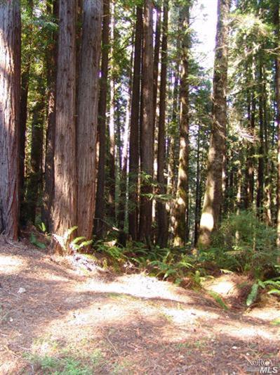 36559 East Ridge Road The Sea Ranch, CA 95497 - Photo 1 of 3