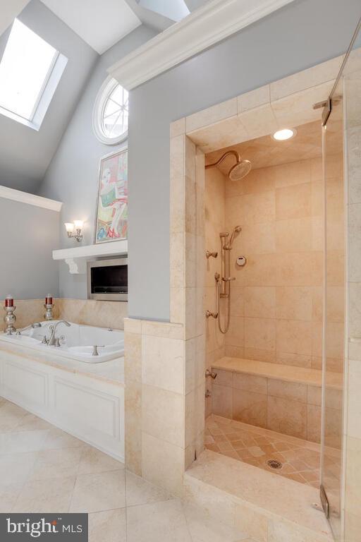 14498 Triadelphia Mill Road Dayton, MD 21036 - Photo 39 of 97 Primary shower