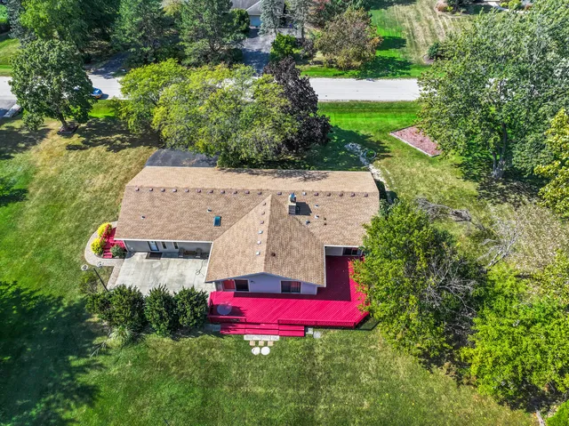 a view of a flower in a garden