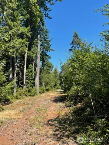 $115,000 | 411 208th Avenue Northwest, Lakebay, WA 98349