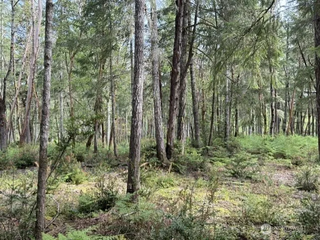 $115,000 | 411 208th Avenue Northwest, Lakebay, WA 98349