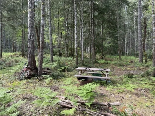 $115,000 | 411 208th Avenue Northwest, Lakebay, WA 98349