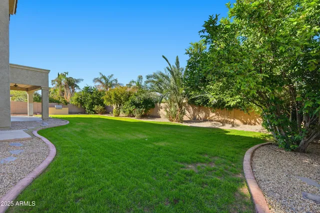a view of a garden with trees
