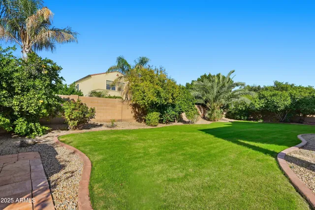 a view of a backyard with plants and a garden