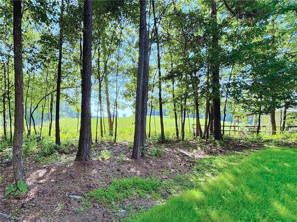 413 Old Brock Road Rockmart, GA 30153 - Photo 25 of 27 a view of a backyard with trees