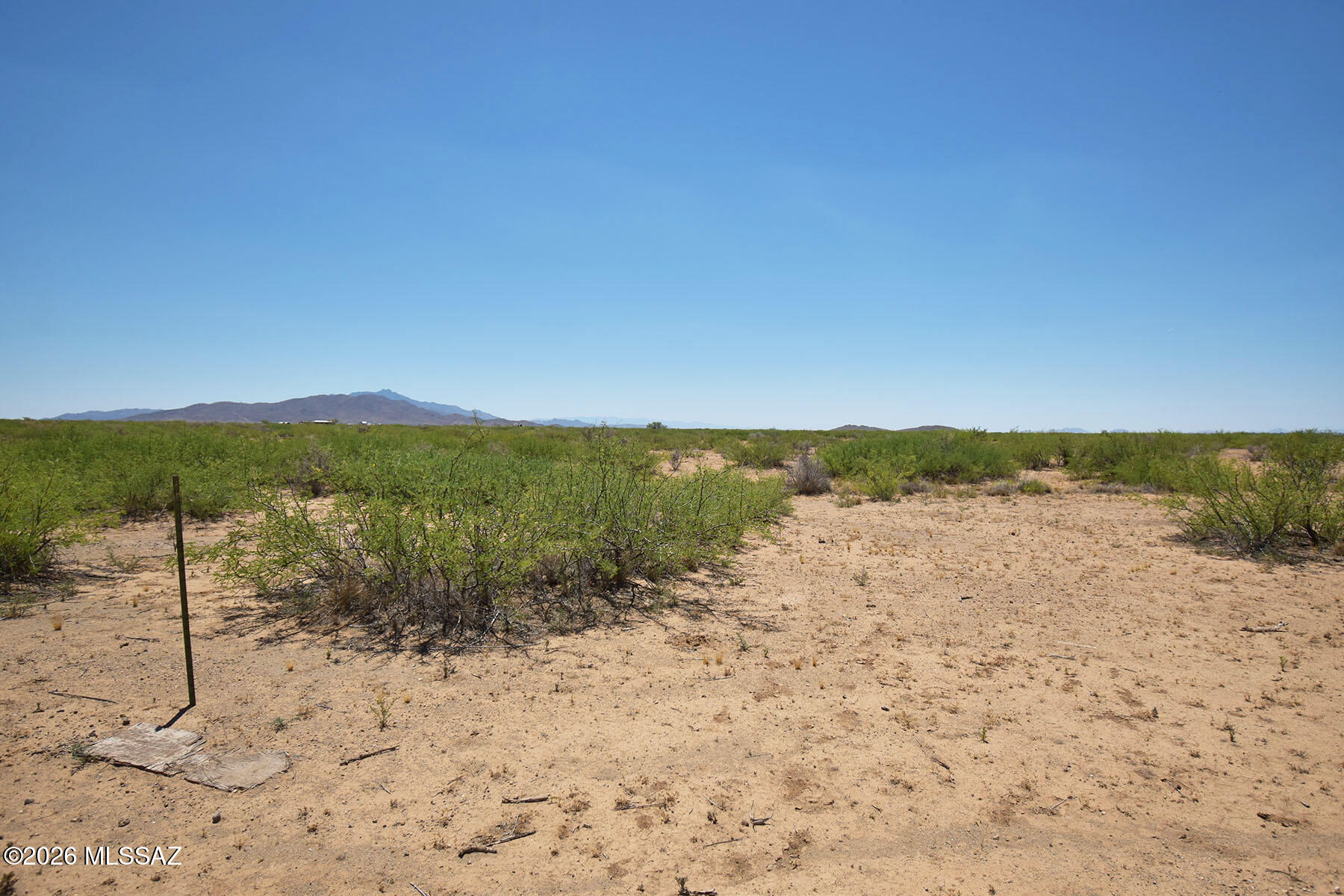 5-acres North Round Up Road, Unit 431 Willcox, AZ 85643 - Photo 9 of 23