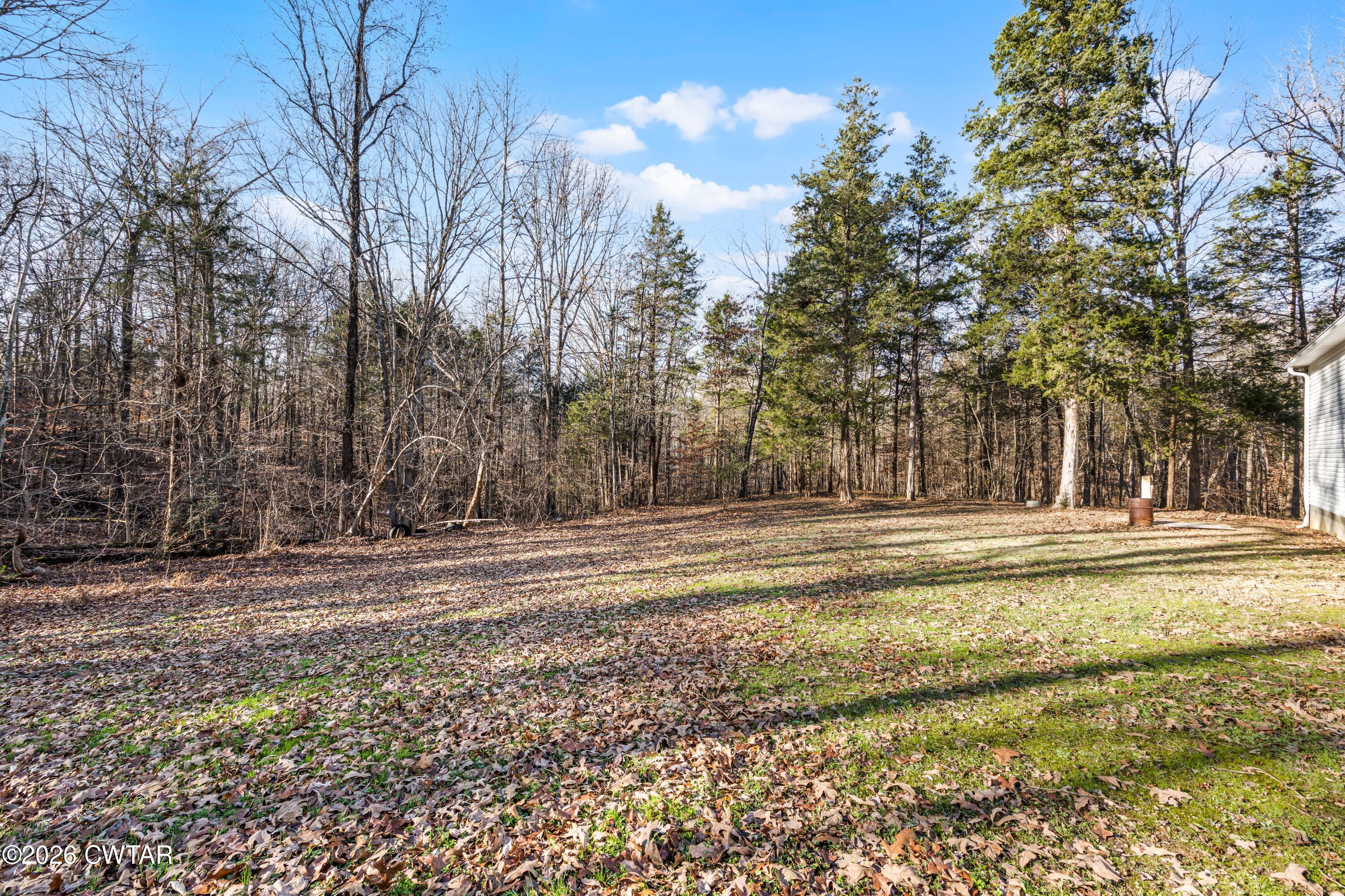 392 Howley Lane Cedar Grove, TN 38321 - Photo 4 of 14 a view of a house with a yard covered with trees