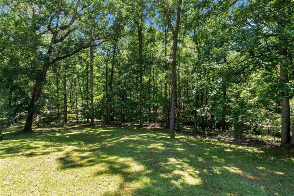 7448 Berea Road Winston, GA 30187 - Photo 73 of 85