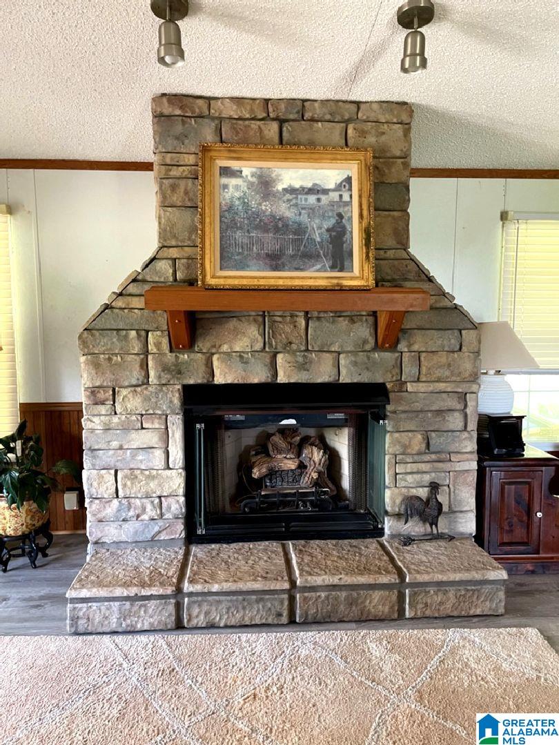 2509 Lees Bridge Road Delta, AL 36258 - Photo 32 of 45