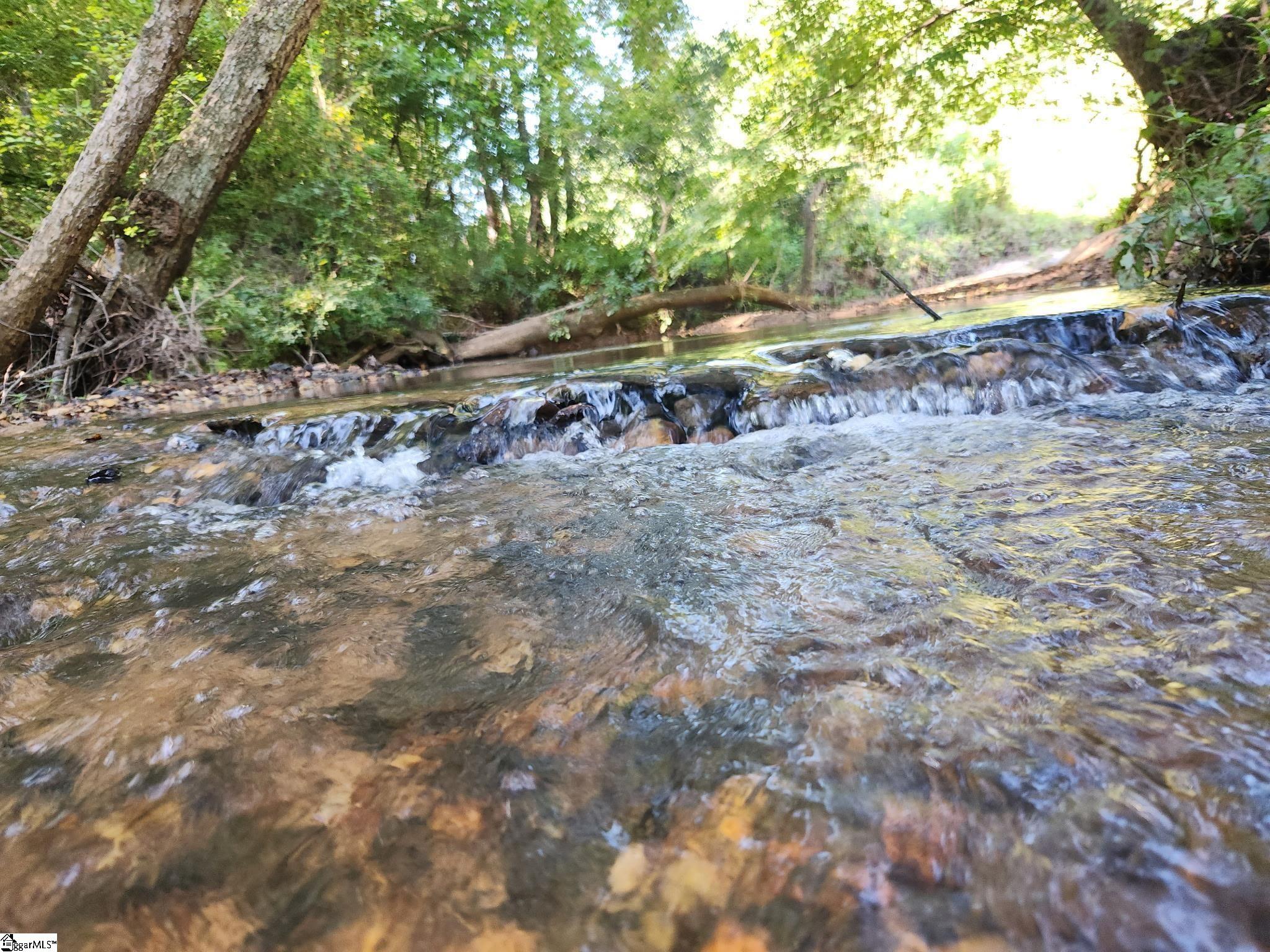 0 Little Africa Road Chesnee, SC 29323 - Photo 11 of 24