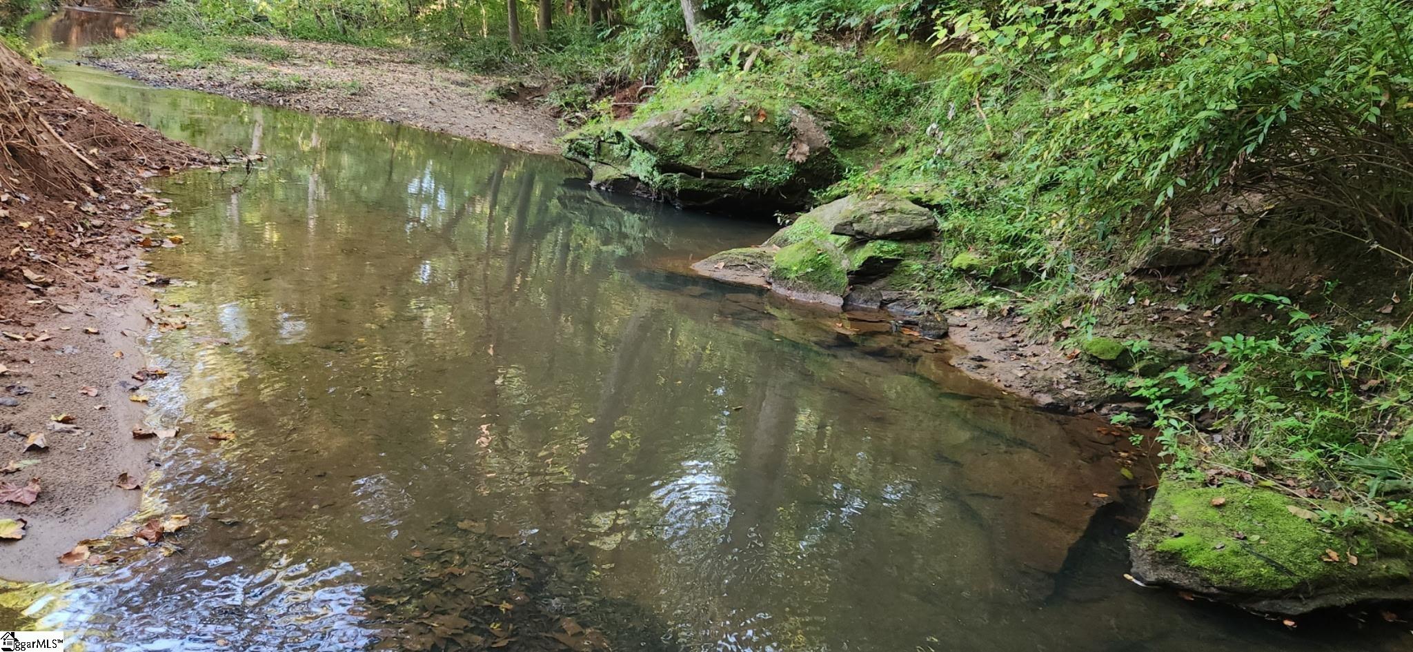 0 Little Africa Road Chesnee, SC 29323 - Photo 16 of 24
