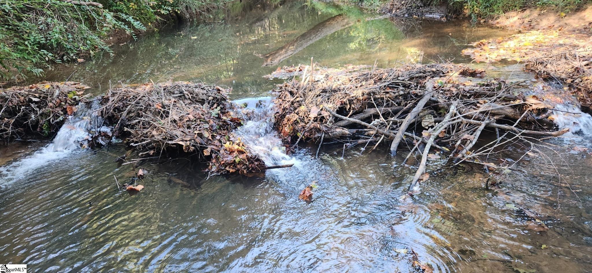 0 Little Africa Road Chesnee, SC 29323 - Photo 18 of 24