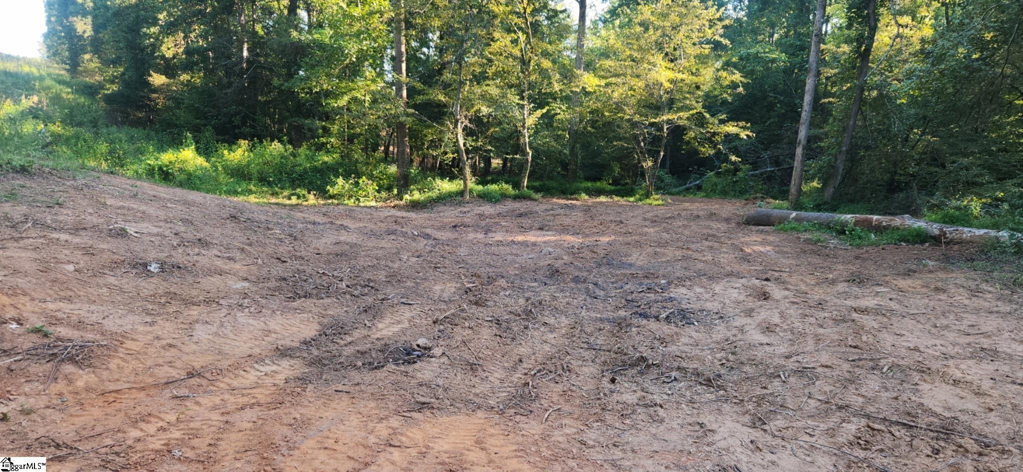 0 Little Africa Road Chesnee, SC 29323 - Photo 20 of 24