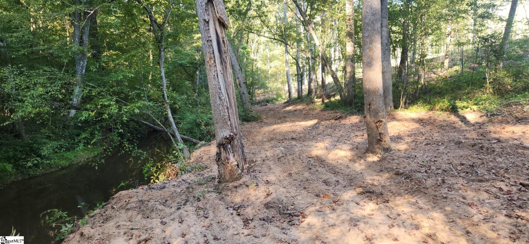 0 Little Africa Road Chesnee, SC 29323 - Photo 22 of 24