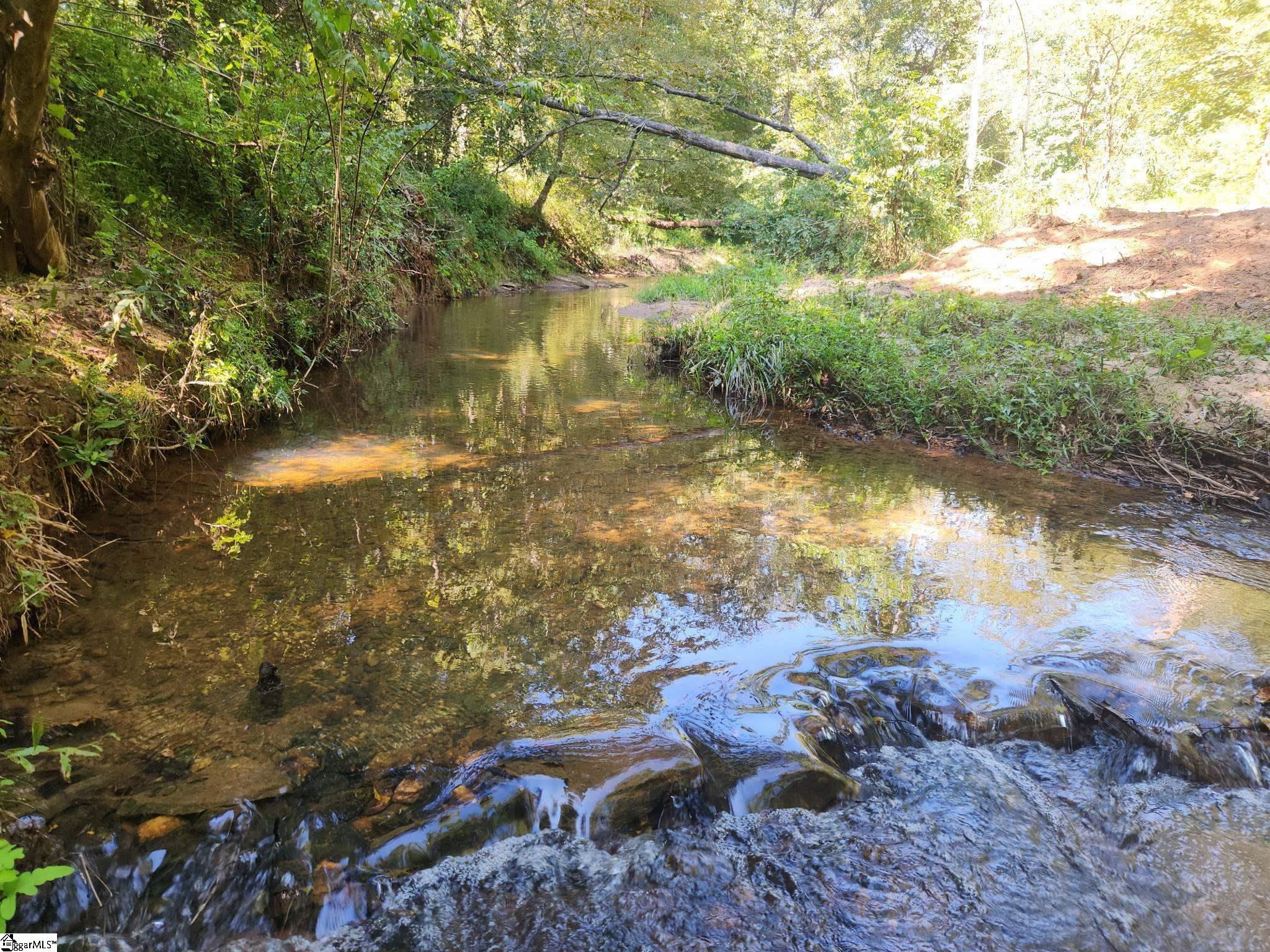 0 Little Africa Road Chesnee, SC 29323 - Photo 9 of 24