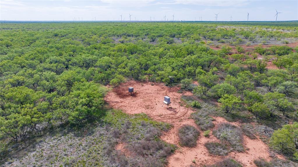 2607 Highway 380 Haskell, TX 79521 - Photo 8 of 32
