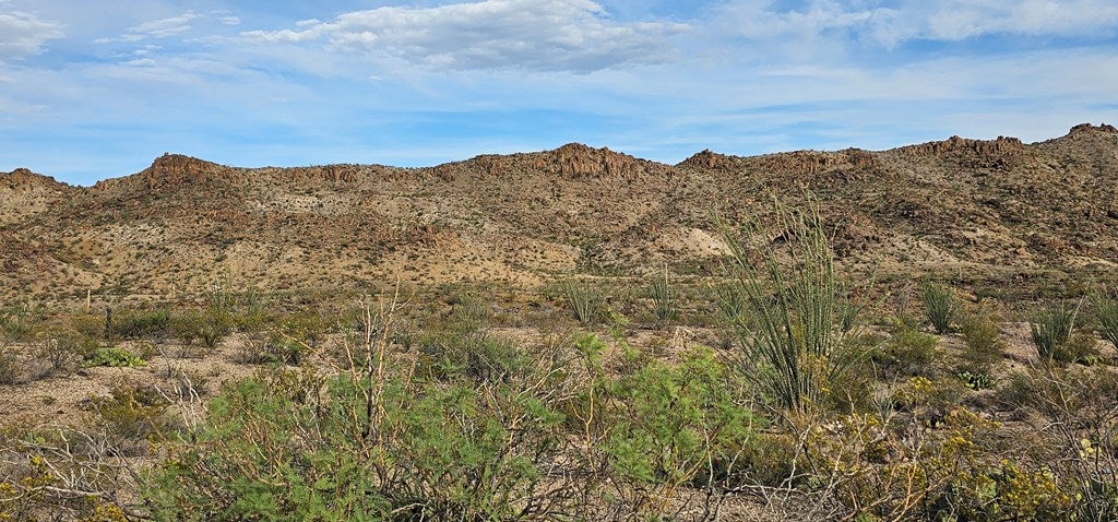 4 Gate 4 Road Alpine, TX 79830 - Photo 16 of 34 Gallery Image 16