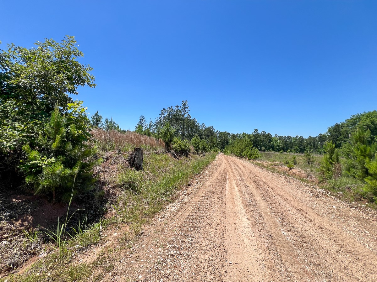 T-3 Union Springs Road Corrigan, TX 75939 - Photo 7 of 12
