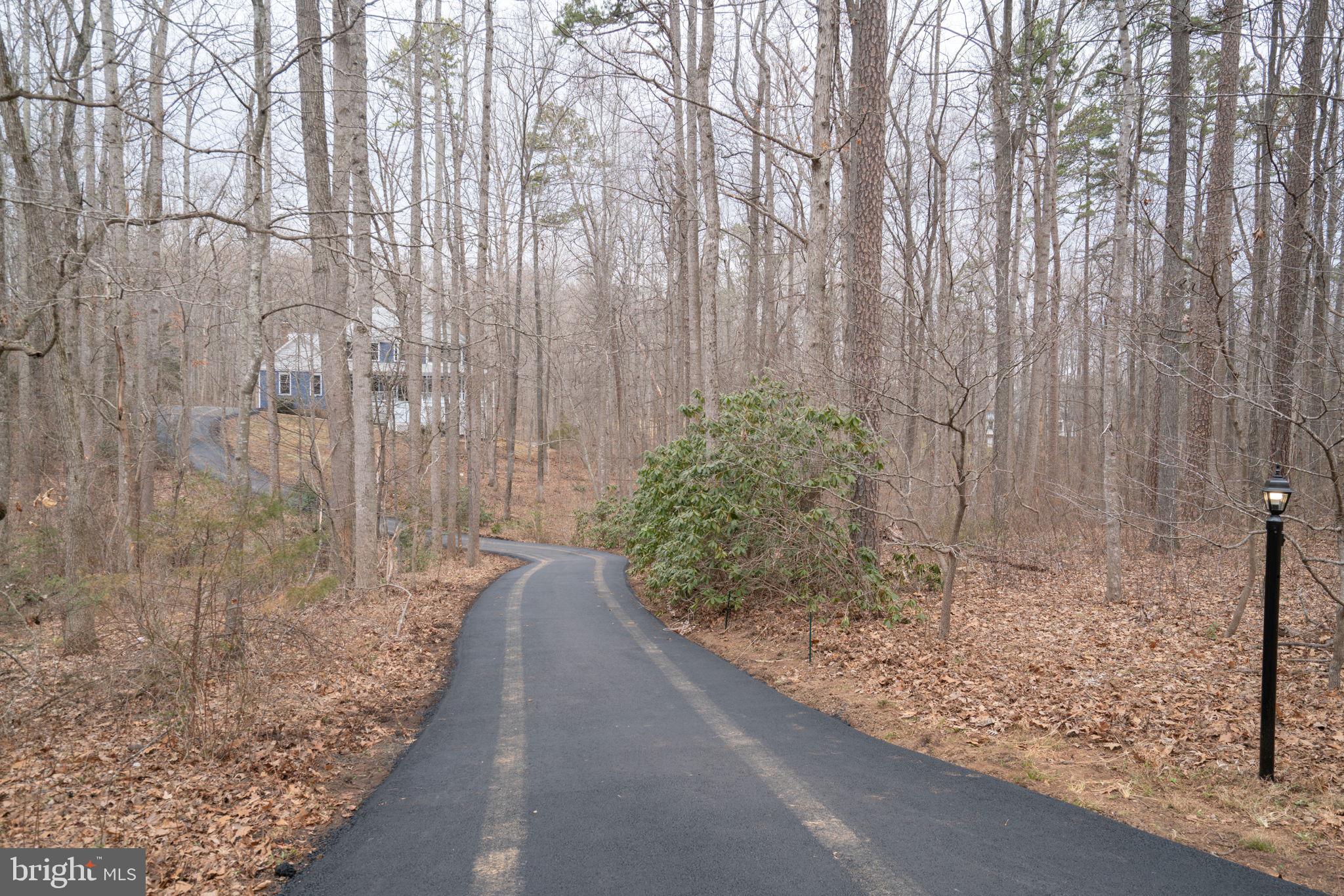 8261 Tinsley Place Culpeper, VA 22701 - Photo 69 of 80 Driveway