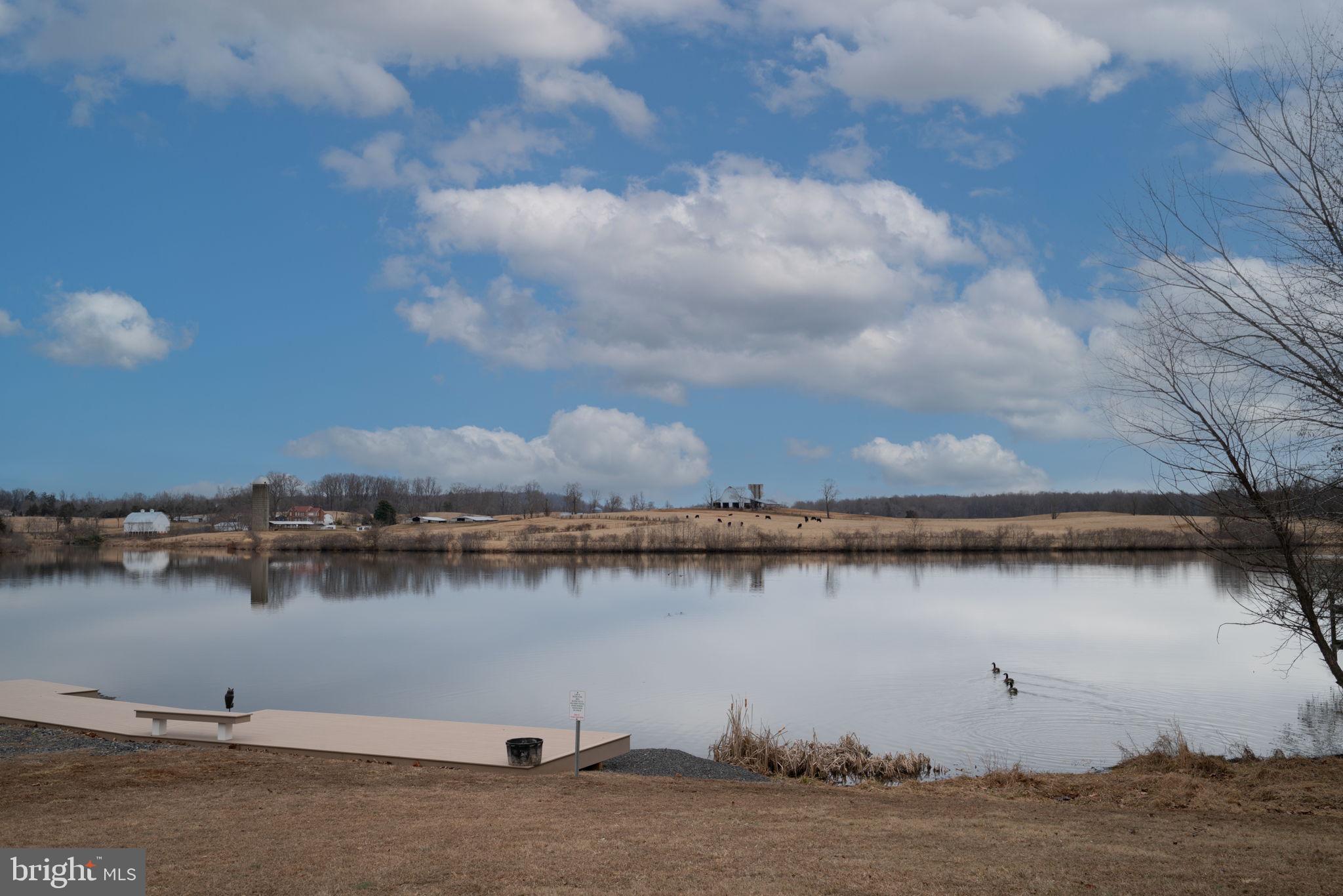 8261 Tinsley Place Culpeper, VA 22701 - Photo 80 of 80 a view of a lake with houses