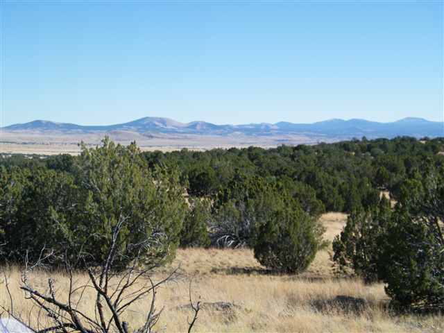 Lot 29 Pine Ridge Ranch Lakeside, AZ 85929 - Photo 1 of 5