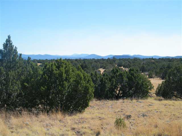 Lot 29 Pine Ridge Ranch Lakeside, AZ 85929 - Photo 2 of 5