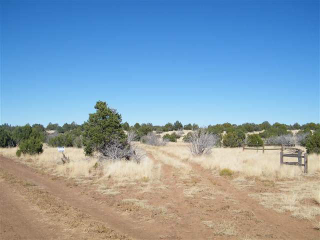 Lot 29 Pine Ridge Ranch Lakeside, AZ 85929 - Photo 3 of 5