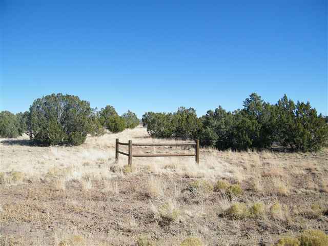 Lot 29 Pine Ridge Ranch Lakeside, AZ 85929 - Photo 4 of 5