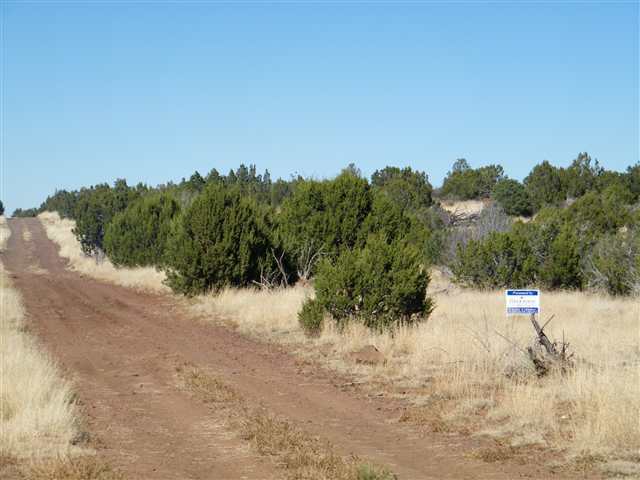 Lot 29 Pine Ridge Ranch Lakeside, AZ 85929 - Photo 5 of 5