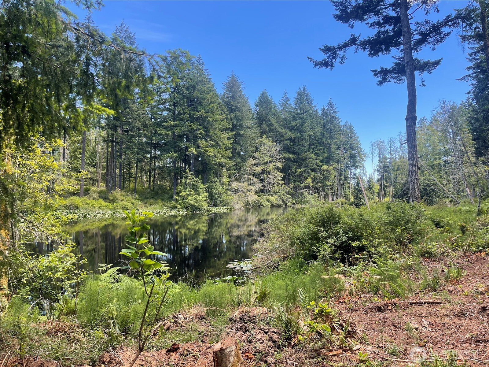 0 Reef Net Road Friday Harbor, WA 98250 - Photo 1 of 40