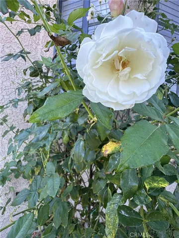 $2,700 | 3336 West 133rd Street, Hawthorne, CA 90250