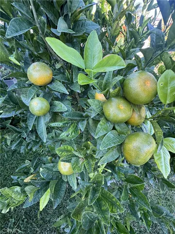 $2,700 | 3336 West 133rd Street, Hawthorne, CA 90250