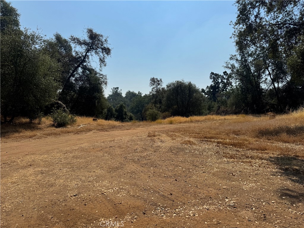 5393 Schafer Road Mariposa, CA 95338 - Photo 15 of 19