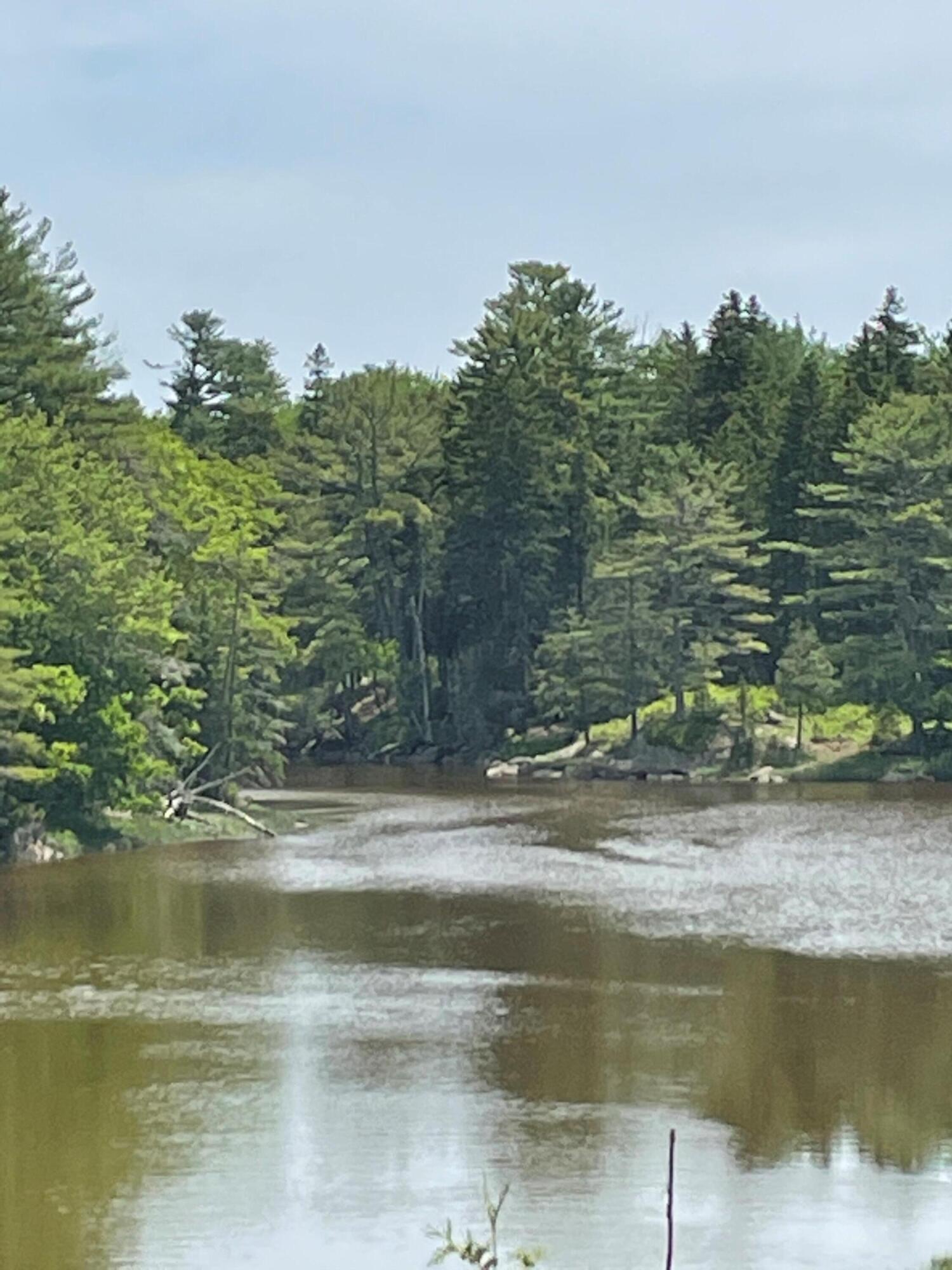 3 Robbins Point Road Gouldsboro, ME 04607 - Photo 7 of 7 pic 7