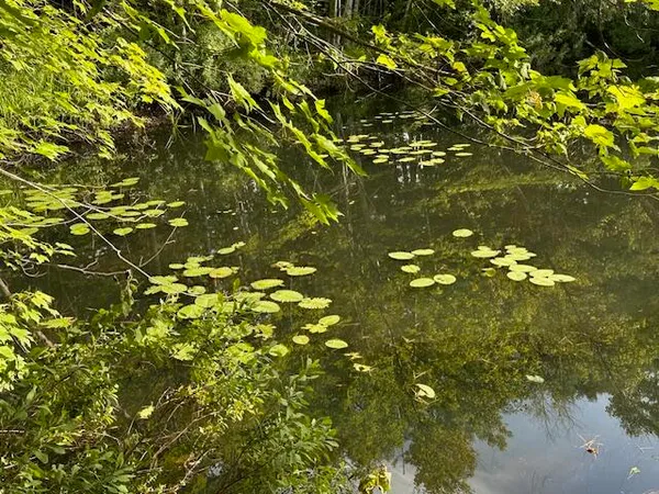 $265,000 | 210 B Trues Pond Road, Montville, ME 04941