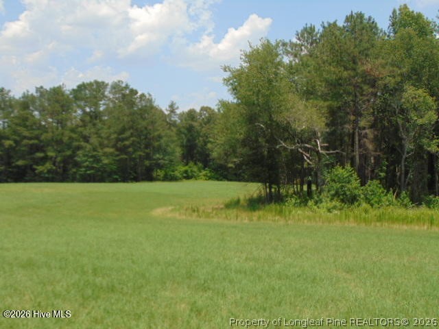 490 Springhill Church Road Hamlet, NC 28345 - Photo 22 of 49 Gallery Image 22
