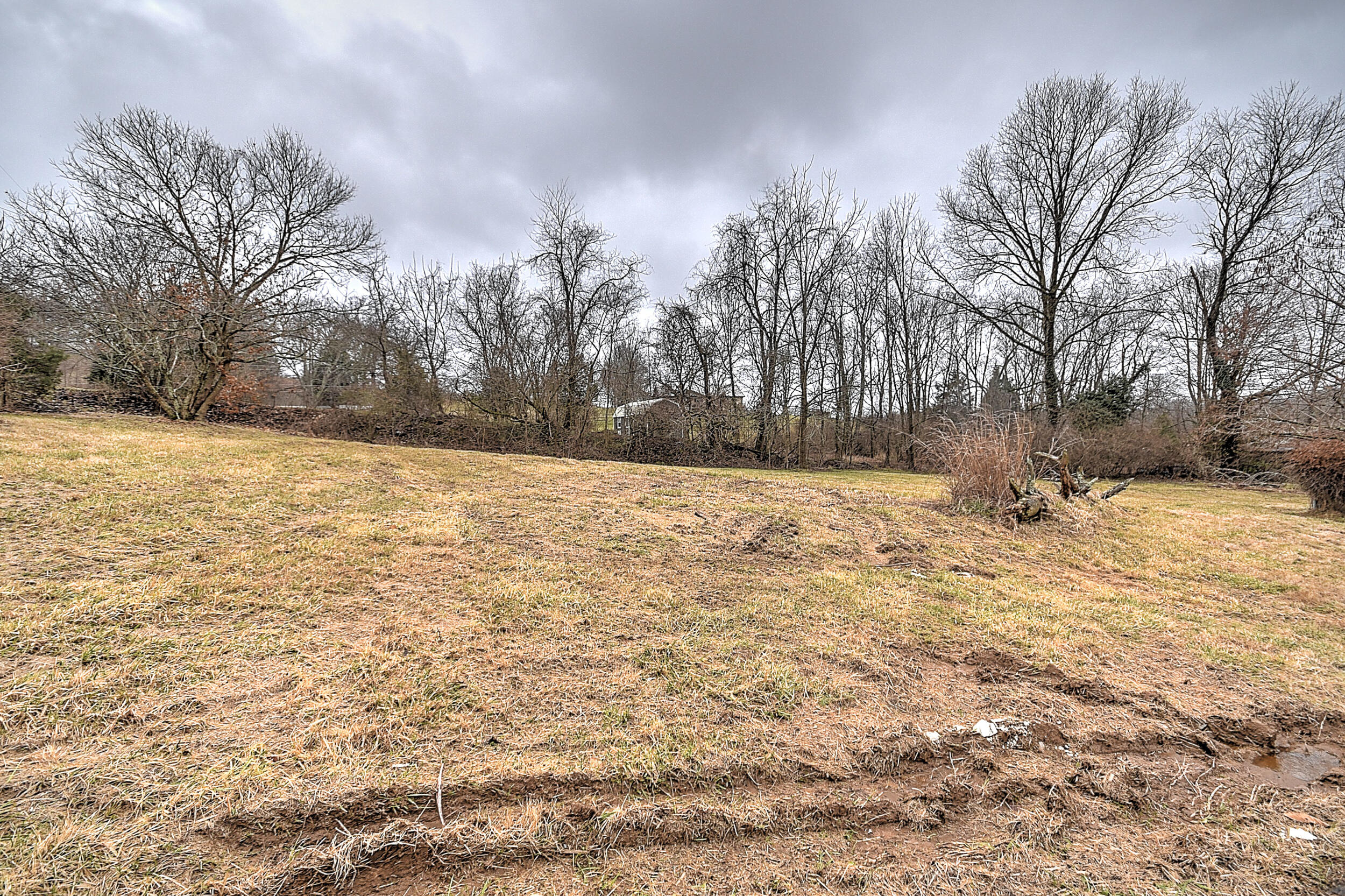 1239 Pendergrass Road Bristol, VA 24201 - Photo 9 of 34 Pendregrass-10