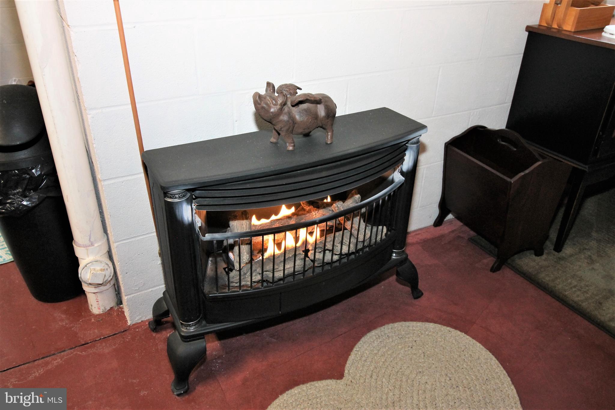 634 River Road Madison, VA 22727 - Photo 25 of 33 Lower level LP Gas logs