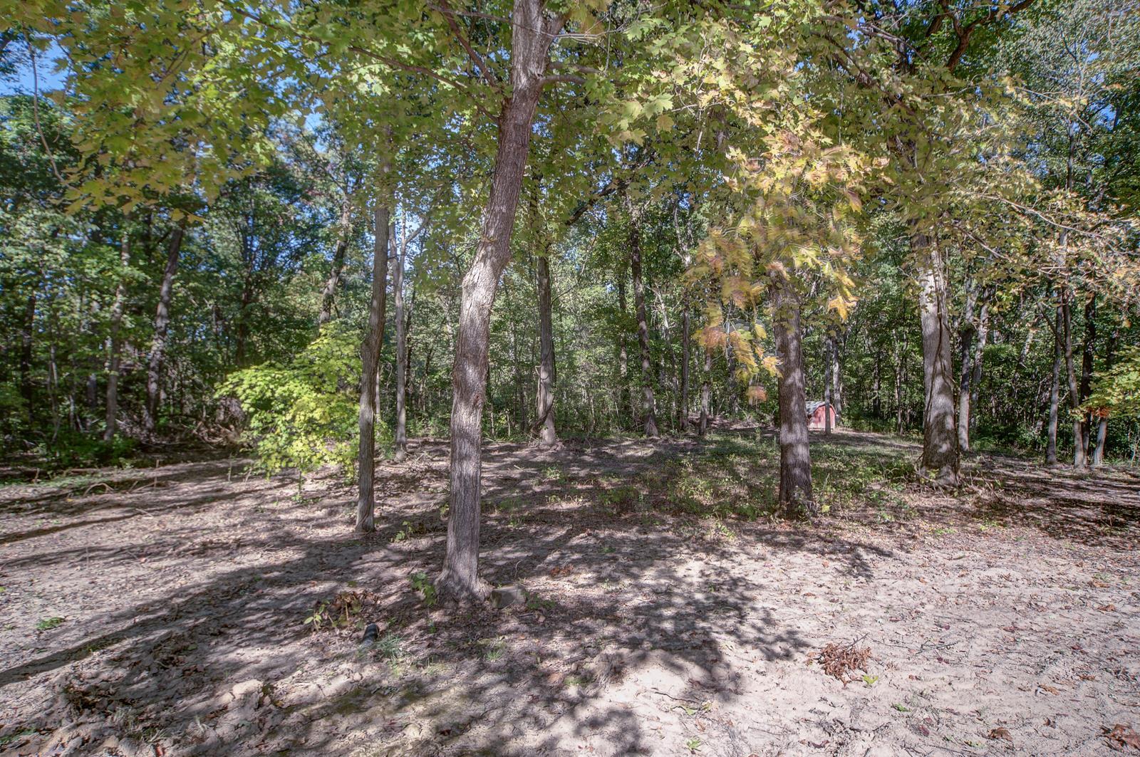 6079 Mm Road Red Bud, IL 62278 - Photo 5 of 54
