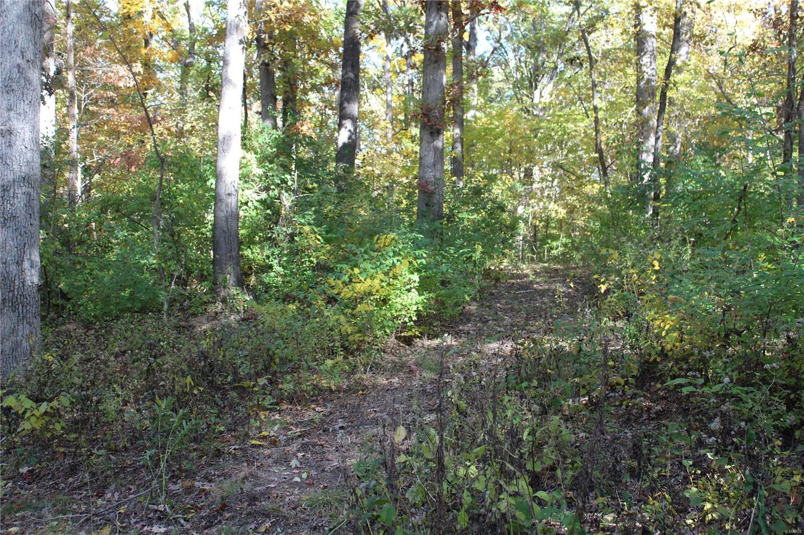 6079 Mm Road Red Bud, IL 62278 - Photo 42 of 54