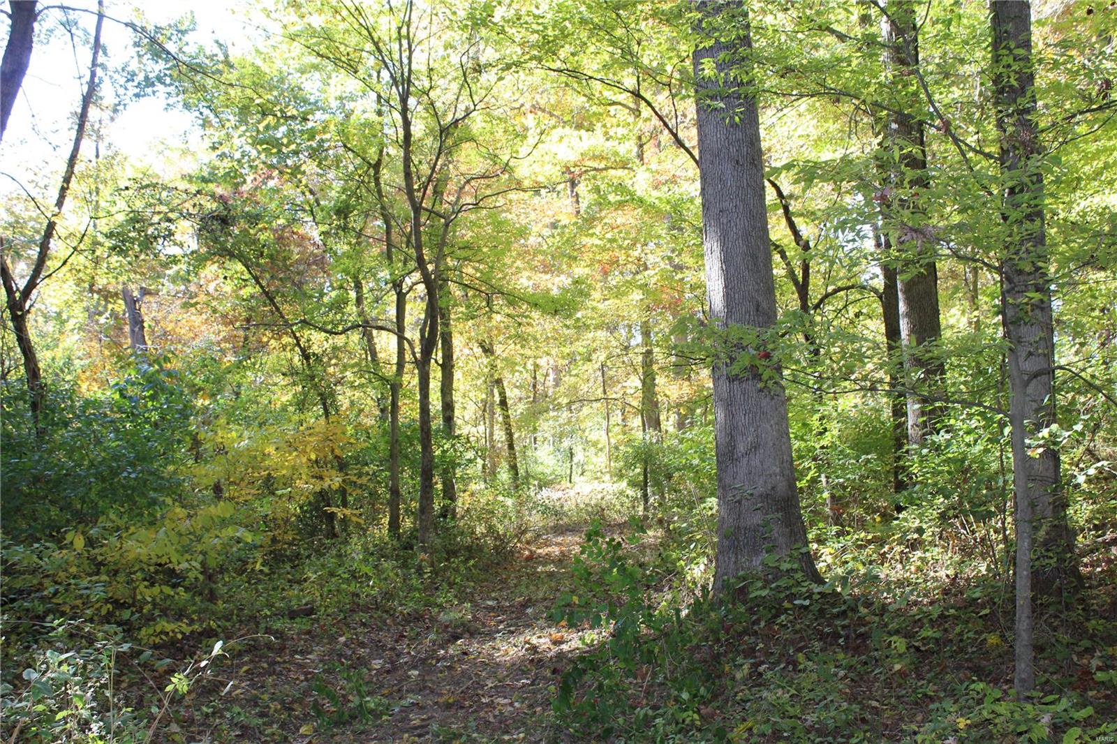 6079 Mm Road Red Bud, IL 62278 - Photo 44 of 54