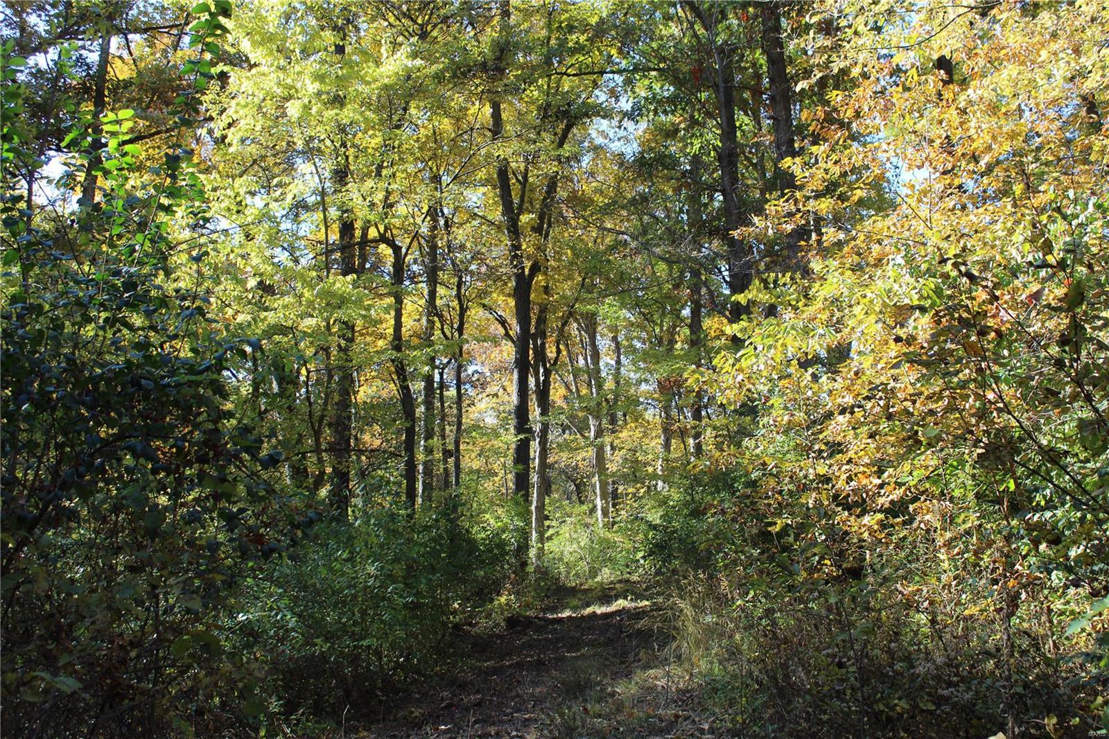 6079 Mm Road Red Bud, IL 62278 - Photo 45 of 54