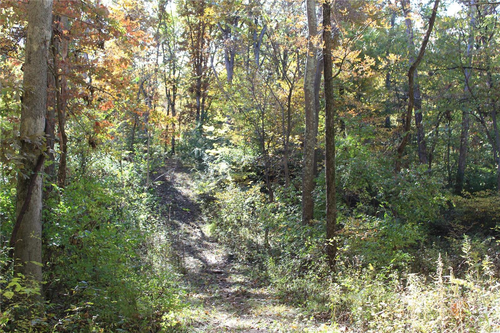 6079 Mm Road Red Bud, IL 62278 - Photo 46 of 54